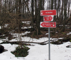 20150111_papuk_024