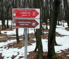 20150111_papuk_028