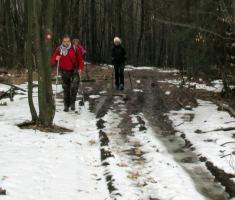 20150111_papuk_030