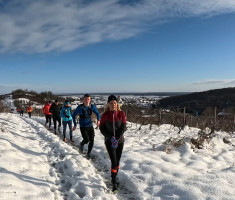 20260111_1_kolo_dls_006