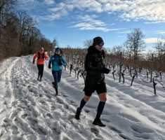 20260111_1_kolo_dls_008