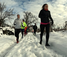 20260111_1_kolo_dls_030