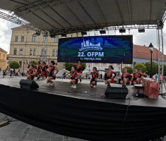20260411_ofpm_008