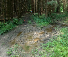 20240511_Litice_oko_Virovitice_24km_069