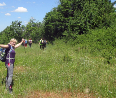 20170611_krnida_044