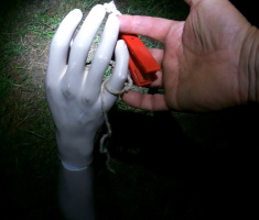 20220611_baranja_night_trail_132