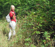 20160911_pozeska_gora_039