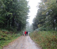 20151011_papuk_008