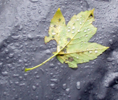 20151011_papuk_012