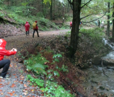 20151011_papuk_015