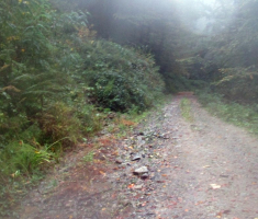 20151011_papuk_025