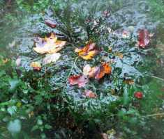 20151011_papuk_028