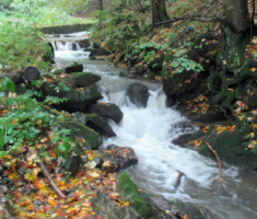 20151011_papuk_030