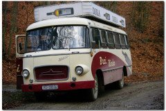 11.12.2011. Psunj