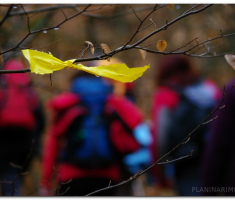 mdp2011_00023