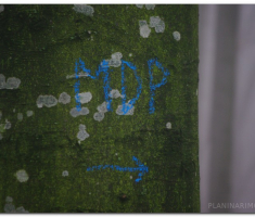 mdp2011_00030