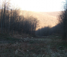 20161211_toplicka_038