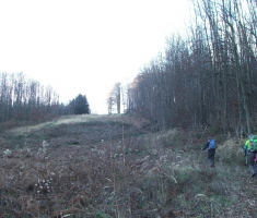 20161211_toplicka_039
