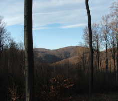 20161211_toplicka_041