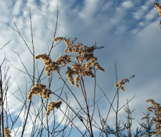 20161211_toplicka_042
