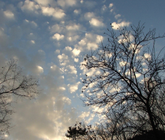 20161211_toplicka_050