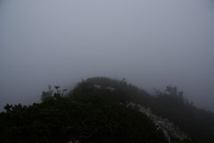 11.12.2016. - Uspon na Risnjak