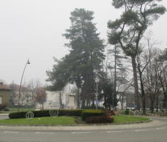 20161211_risnjak_003