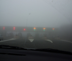 20161211_risnjak_017