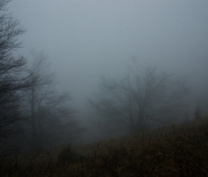 20161211_risnjak_021