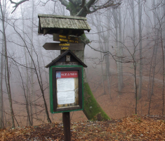 20161211_risnjak_022
