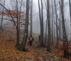20161211_risnjak_025