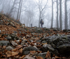 20161211_risnjak_026