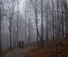 20161211_risnjak_027