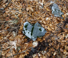 20161211_risnjak_029