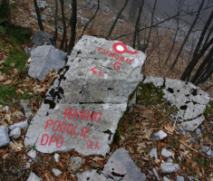 20161211_risnjak_030