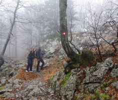 20161211_risnjak_037