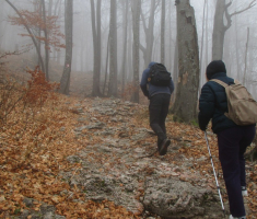 20161211_risnjak_038