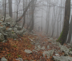 20161211_risnjak_041