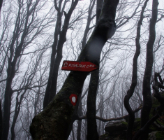 20161211_risnjak_043