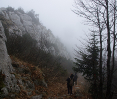 20161211_risnjak_044