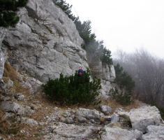 20161211_risnjak_045