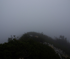 20161211_risnjak_050