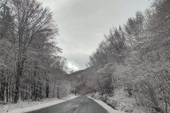 11.12.2022. - Međunarodni dan planina