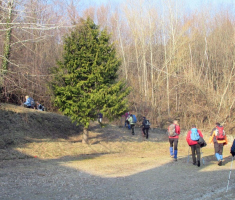 20170212_papuk_006