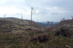 12.03.2016. - Vikend na Omanovcu