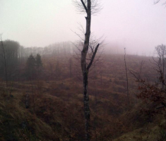 20160315_16_omanovac_002