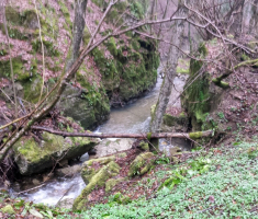 20160315_16_omanovac_008