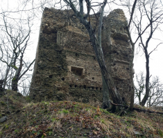 20160315_16_omanovac_011