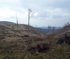 20160315_16_omanovac_020