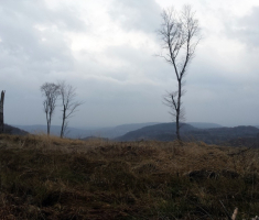 20160315_16_omanovac_021